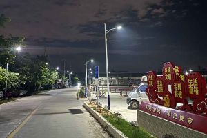 歡創(chuàng)集團羅寧弟愛心捐贈路燈，點亮鄉(xiāng)村路溫暖鄉(xiāng)民心
