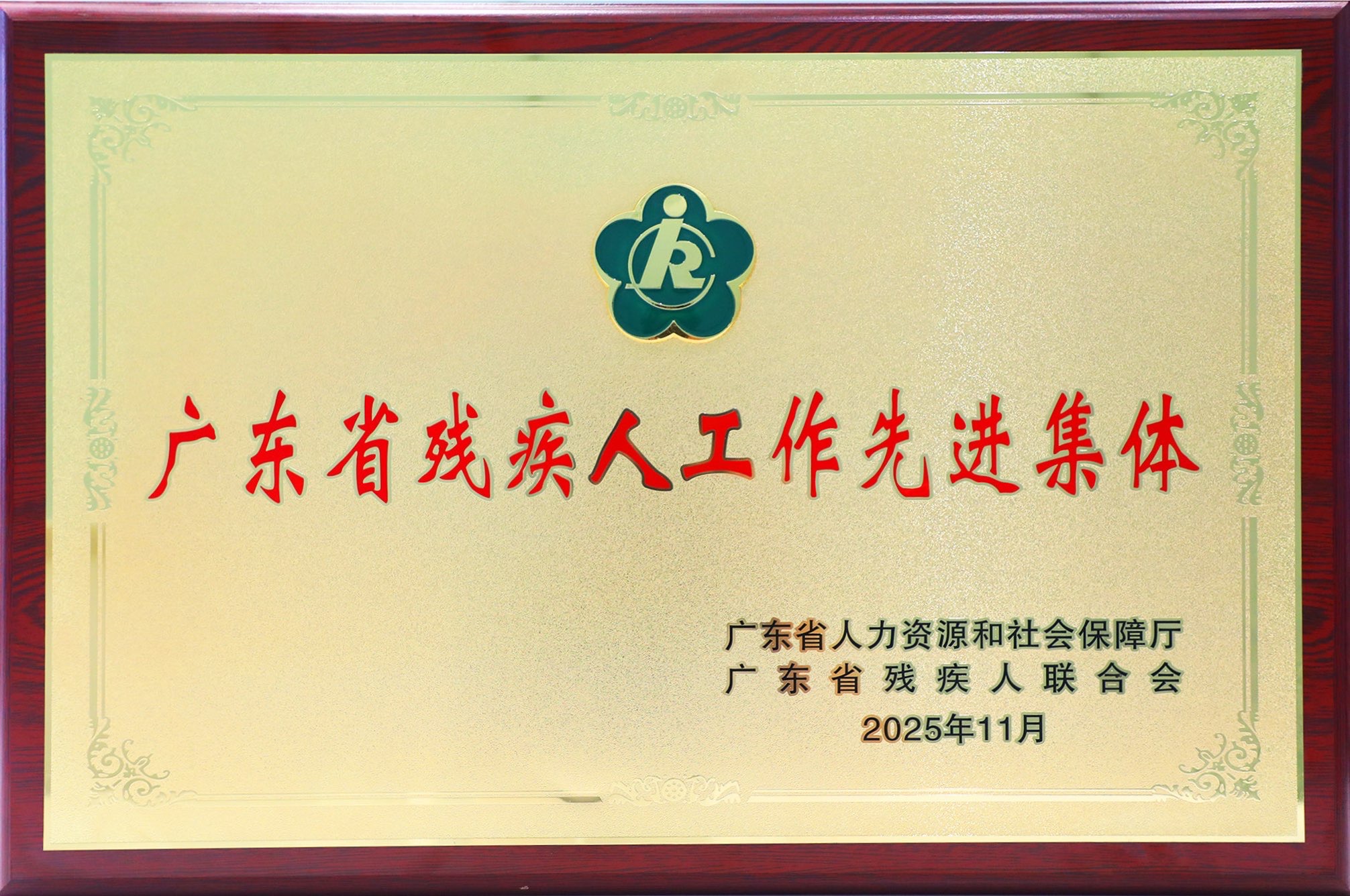 698944eec8695.jpg 廣東省殘疾人工作先進集_1.jpg